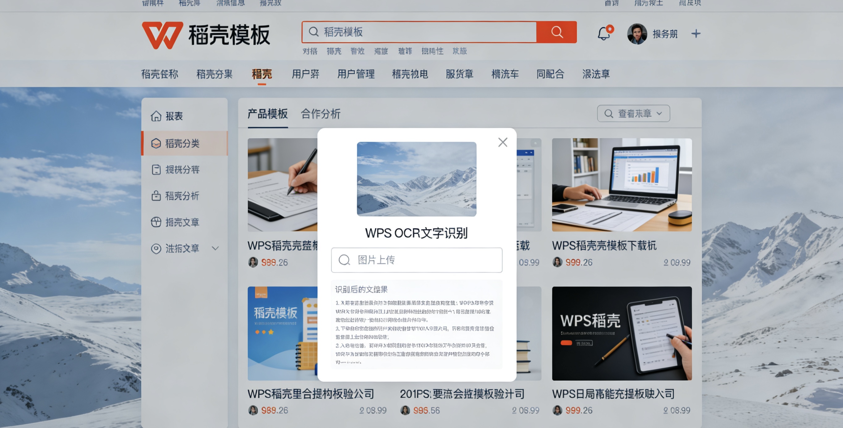 WPS任务管理器进程详解图片说明